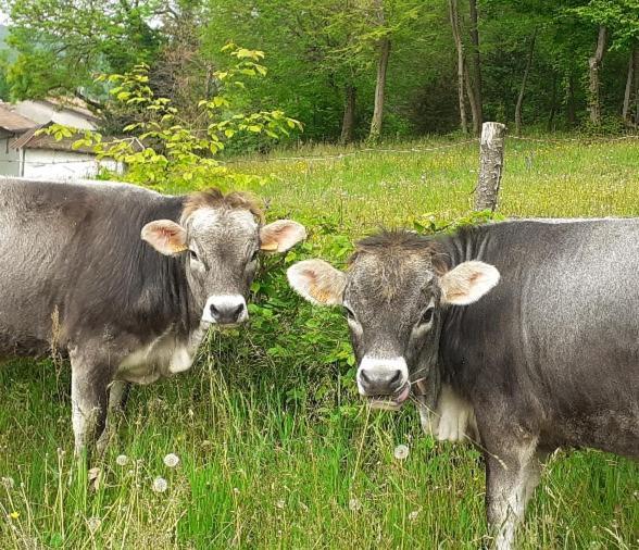 Agriturismo Dell'Altopiano Serle Zewnętrze zdjęcie